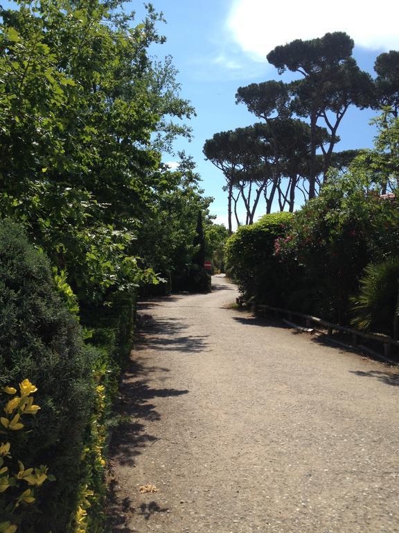 Camping Paradiso Viareggio Exterior foto