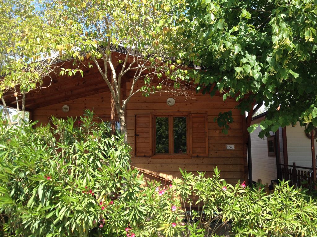 Camping Paradiso Viareggio Quarto foto