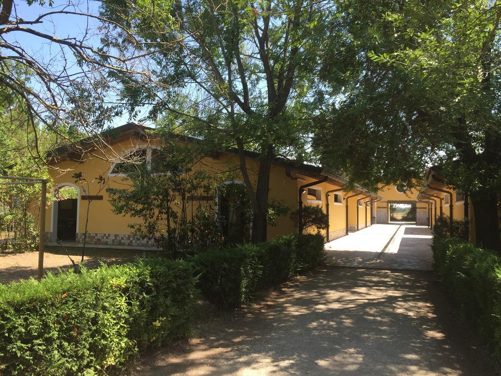 Camping Paradiso Viareggio Exterior foto